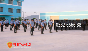 Cung ứng bảo vệ (10)